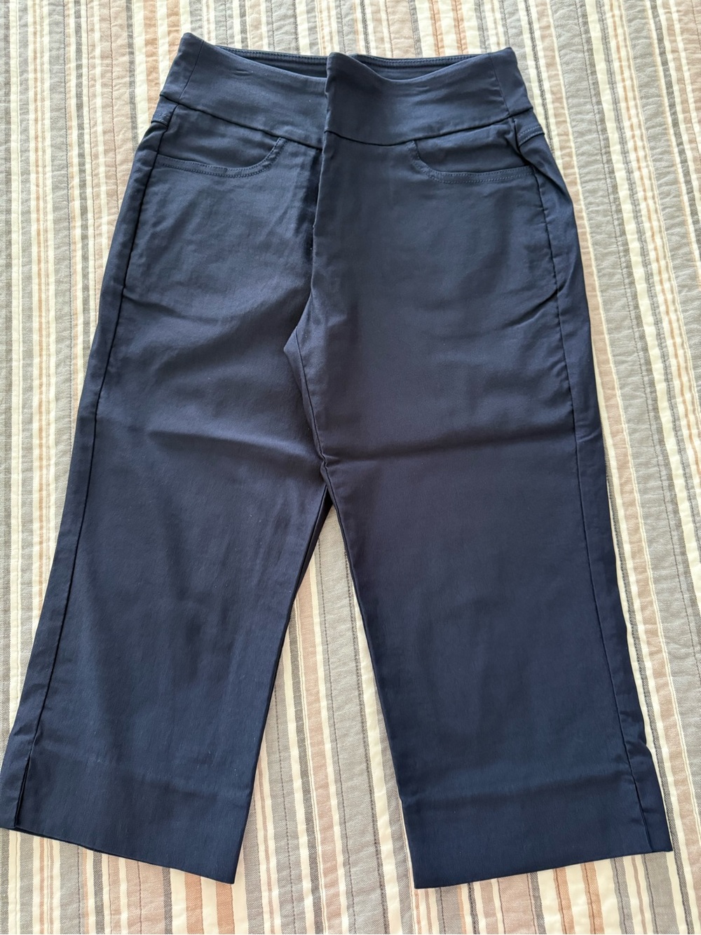 Ruby Rd. Petite Navy Pull-On Pants with Gold Label Detail